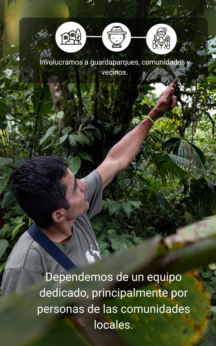 Presencia directa en el terreno